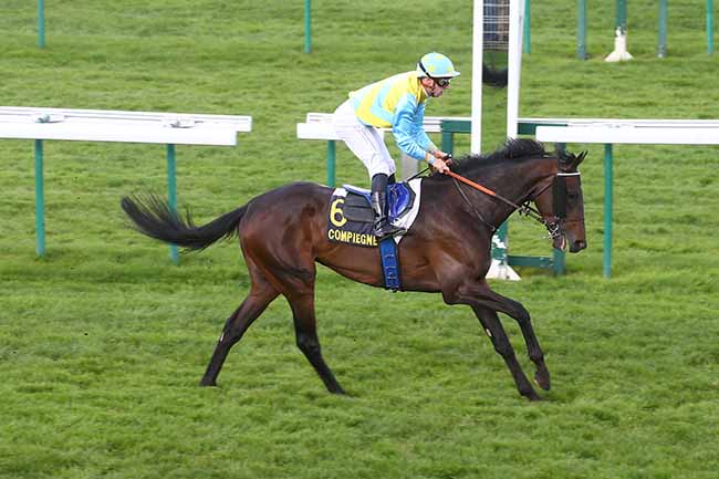 Photo d'arrivée de la course pmu PRIX D'AUTRECHES à COMPIEGNE le Mardi 19 mars 2024