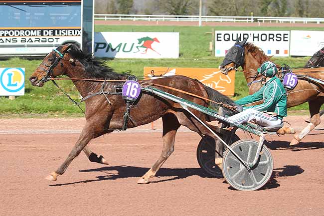 Photo d'arrivée de la course pmu PRIX DE LA SOCIETE DES COURSES DE LISIEUX à LISIEUX le Mercredi 20 mars 2024