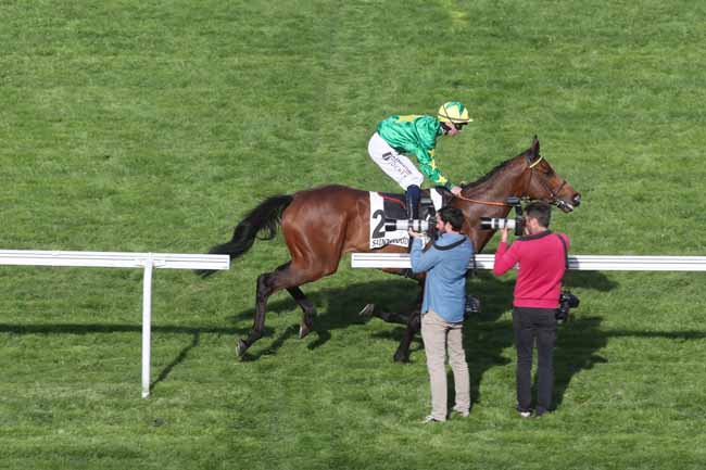 Photo d'arrivée de la course pmu PRIX DE LA PORTE DE MADRID à SAINT CLOUD le Jeudi 21 mars 2024