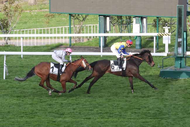 Photo d'arrivée de la course pmu PRIX DU PETIT MORIN à SAINT CLOUD le Jeudi 21 mars 2024