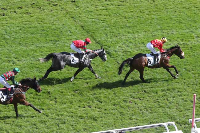 Photo d'arrivée de la course pmu PRIX HUBERT DE NAVAILLES à AUTEUIL le Dimanche 24 mars 2024