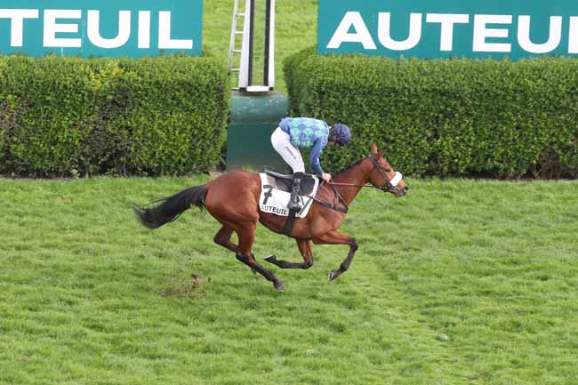 Photo d'arrivée de la course pmu PRIX AIR LANDAIS à AUTEUIL le Dimanche 24 mars 2024