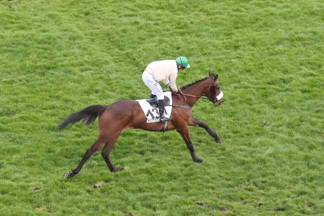 Photo d'arrivée de la course pmu PRIX KASHNIL à AUTEUIL le Dimanche 24 mars 2024