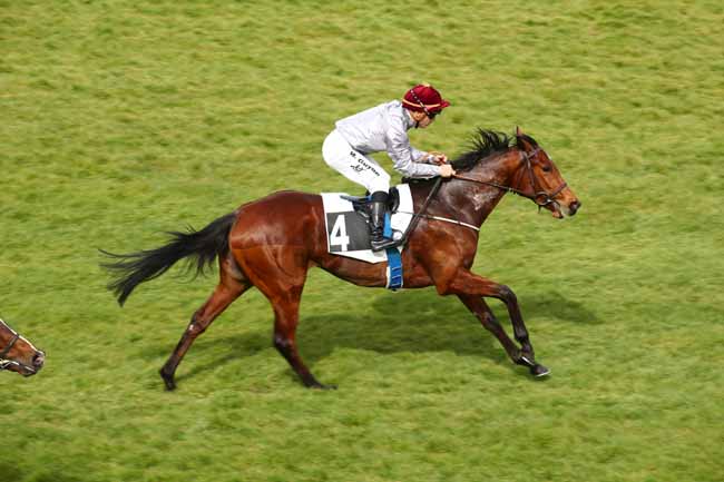 Photo d'arrivée de la course pmu PRIX DU ROCHER CASSEPOT à FONTAINEBLEAU le Lundi 25 mars 2024