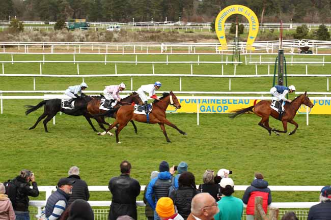 Photo d'arrivée de la course pmu PRIX DE LA DAME JOUANNE à FONTAINEBLEAU le Lundi 25 mars 2024