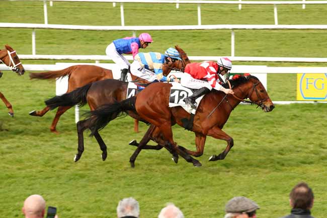 Photo d'arrivée de la course pmu PRIX DES ROSES à FONTAINEBLEAU le Lundi 25 mars 2024