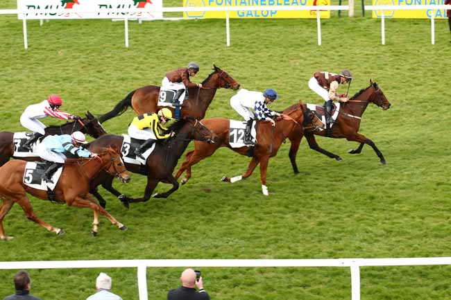 Photo d'arrivée de la course pmu PRIX DE L'EMPEREUR NAPOLEON III à FONTAINEBLEAU le Lundi 25 mars 2024