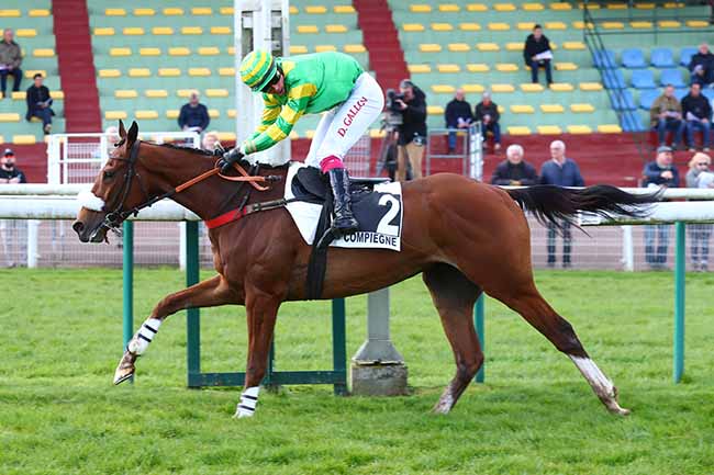 Photo d'arrivée de la course pmu PRIX DE DINARD à COMPIEGNE le Lundi 25 mars 2024
