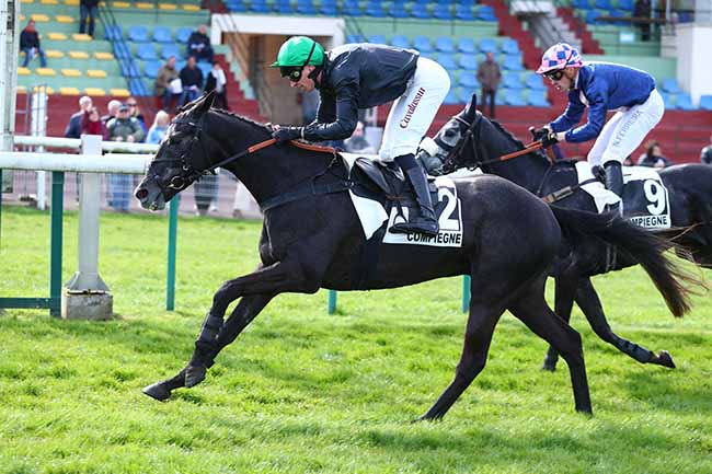 Photo d'arrivée de la course pmu PRIX D'ACHERES à COMPIEGNE le Lundi 25 mars 2024