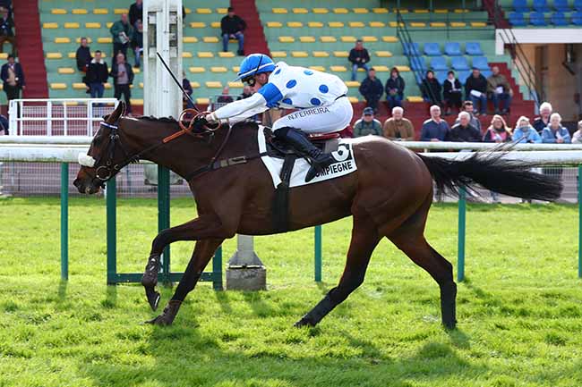 Photo d'arrivée de la course pmu PRIX DE BRISSAC à COMPIEGNE le Lundi 25 mars 2024