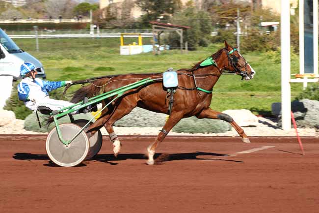 Photo d'arrivée de la course pmu PRIX TROPHEE 