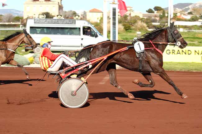 Photo d'arrivée de la course pmu PRIX DU CHATEAU D'IF à MARSEILLE BORELY le Mercredi 27 mars 2024