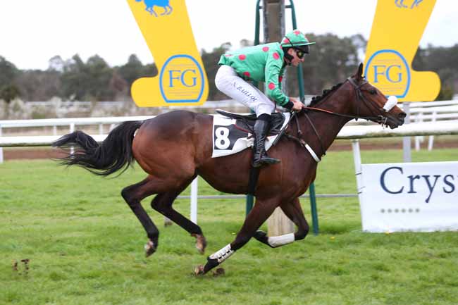 Photo d'arrivée de la course pmu PRIX DE LA COMMUNAUTE D'AGGLOMERATION DU PAYS DE FONTAINEBLEAU à FONTAINEBLEAU le Vendredi 29 mars 2024