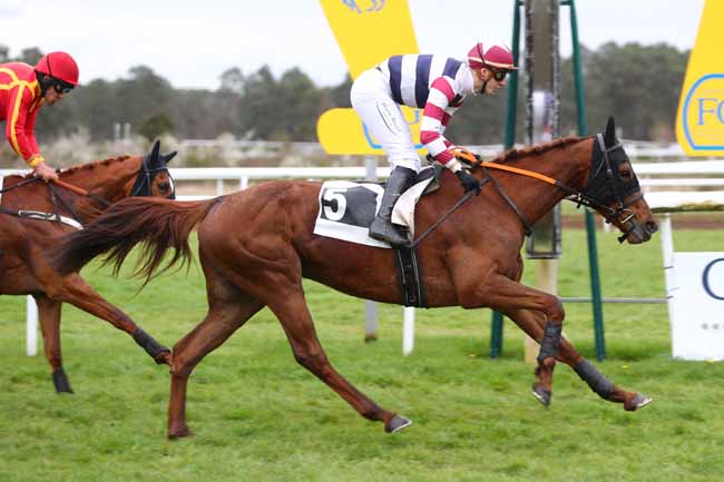 Photo d'arrivée de la course pmu PRIX QUAZVIN II à FONTAINEBLEAU le Vendredi 29 mars 2024