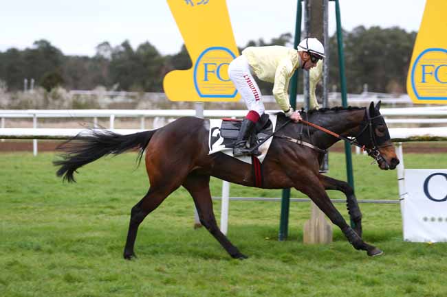 Photo d'arrivée de la course pmu PRIX DE LA SOCIETE DES COURSES DE PAU à FONTAINEBLEAU le Vendredi 29 mars 2024
