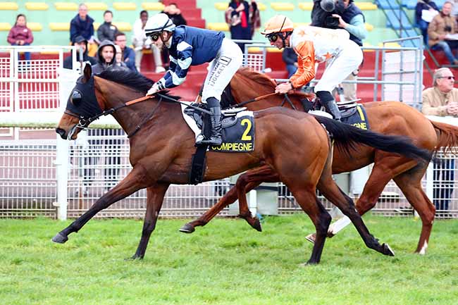 Photo d'arrivée de la course pmu PRIX DE LA FORET D'OURSCAMP à COMPIEGNE le Vendredi 29 mars 2024