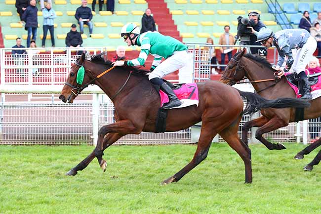 Photo d'arrivée de la course pmu PRIX DE BETHANCOURT-EN-VALOIS - HANDICAP CHALLENGE à COMPIEGNE le Vendredi 29 mars 2024