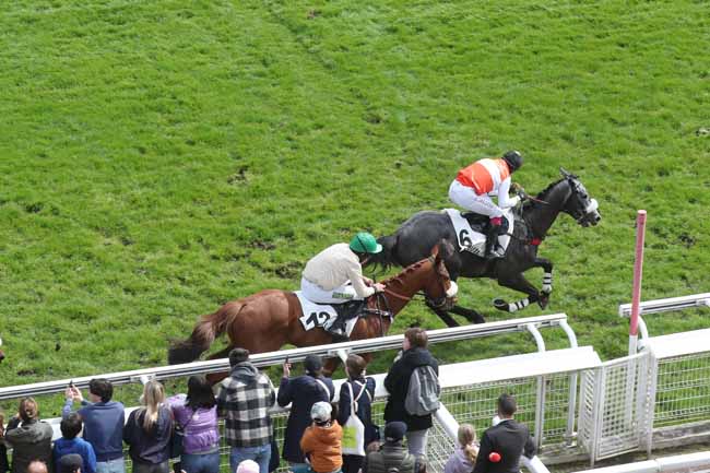 Photo d'arrivée de la course pmu PRIX GRANDAK à AUTEUIL le Dimanche 31 mars 2024