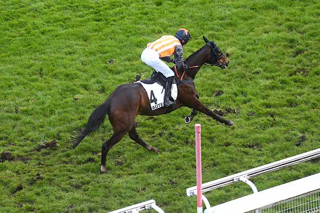 Photo d'arrivée de la course pmu PRIX GUY HUNAULT à AUTEUIL le Dimanche 31 mars 2024