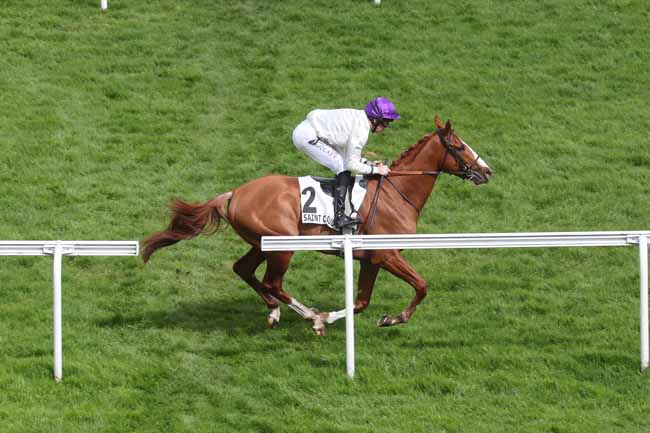 Photo d'arrivée de la course pmu PRIX CARACALLA à SAINT CLOUD le Lundi 1 avril 2024