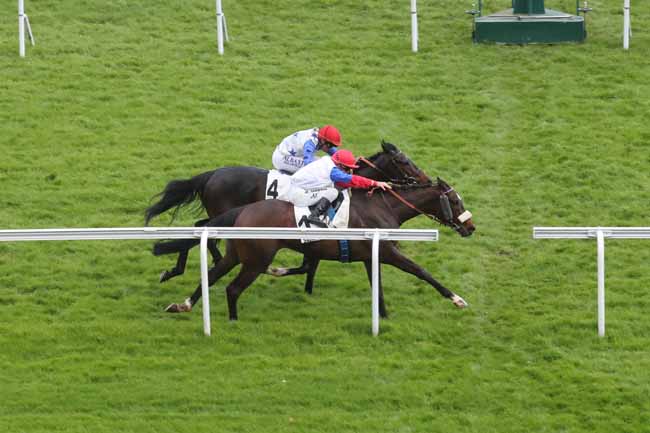 Photo d'arrivée de la course pmu PRIX DU LANGUEDOC à SAINT CLOUD le Lundi 1 avril 2024