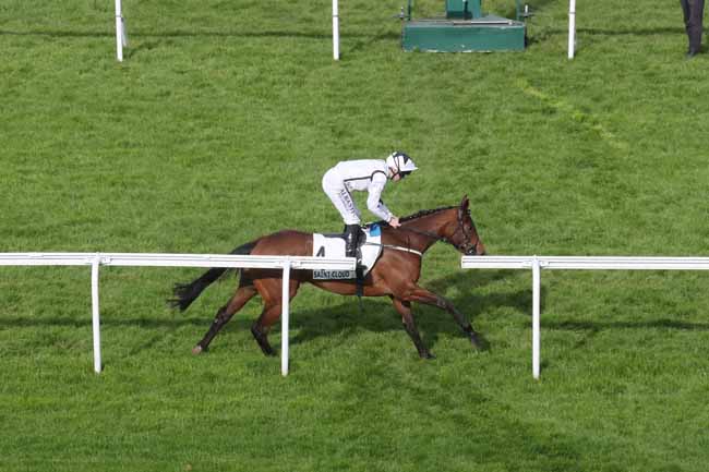 Photo d'arrivée de la course pmu PRIX PENELOPE à SAINT CLOUD le Lundi 1 avril 2024
