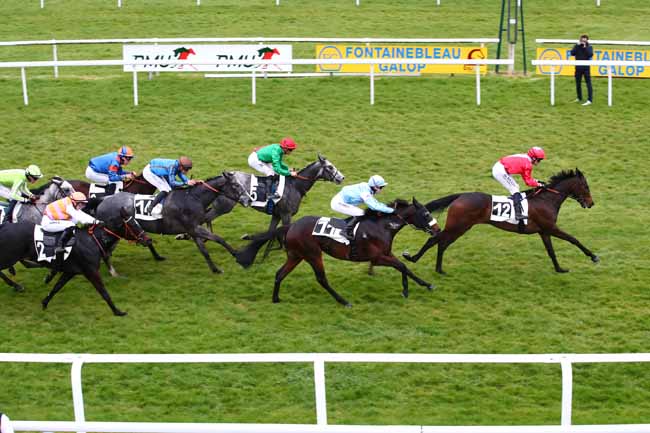 Photo d'arrivée de la course pmu PRIX DES HAUTEURS DE LA SOLLE à FONTAINEBLEAU le Mardi 2 avril 2024