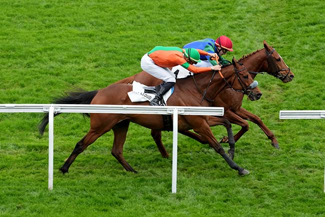 Photo d'arrivée de la course pmu PRIX JEAN MASSARD (CHAMPIONNAT PARIS TURF DES APPRENTIS & JEUNES JOCKEYS) à SAINT CLOUD le Vendredi 5 avril 2024