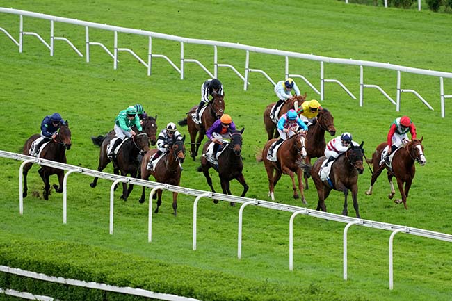 Photo d'arrivée de la course pmu PRIX DE PAU à SAINT CLOUD le Vendredi 5 avril 2024