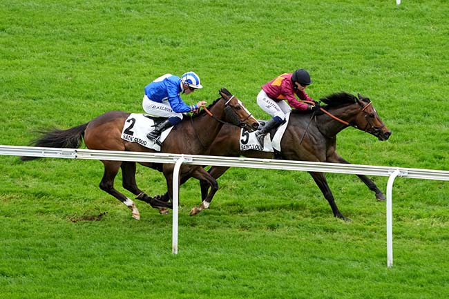 Photo d'arrivée de la course pmu PRIX MY LOVE à SAINT CLOUD le Vendredi 5 avril 2024