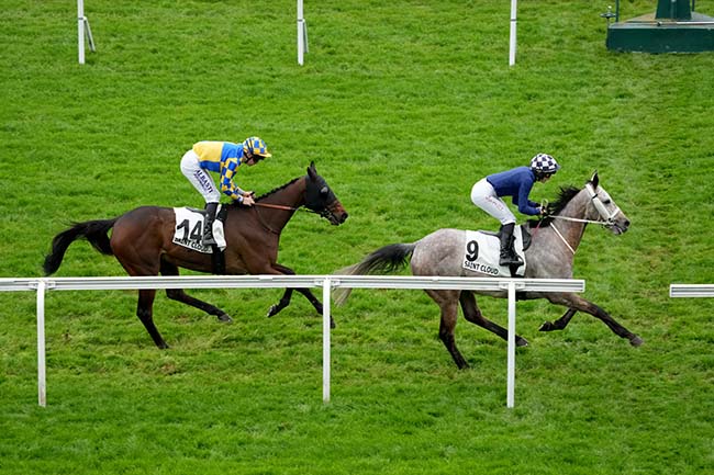 Photo d'arrivée de la course pmu PRIX DU CHATEAU PELICAN à SAINT CLOUD le Vendredi 5 avril 2024
