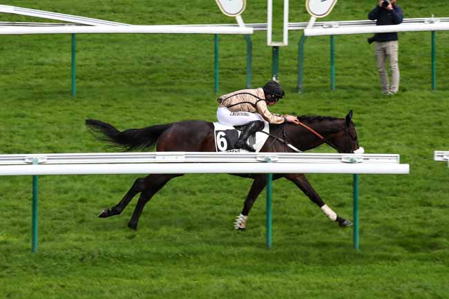 Photo d'arrivée de la course pmu PRIX DE LA ROCHELLE à COMPIEGNE le Lundi 8 avril 2024