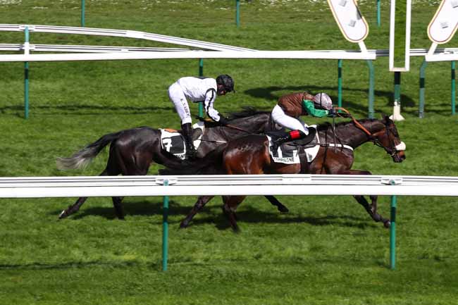 Photo d'arrivée de la course pmu PRIX LA NOUBA à COMPIEGNE le Lundi 8 avril 2024