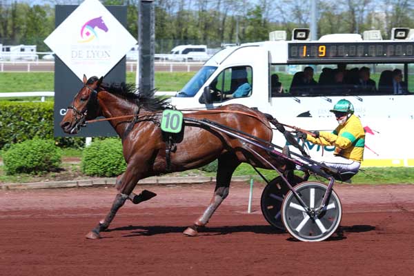 Photo d'arrivée de la course pmu BRASSERIE DES ETATS UNIS - PRIX STRASBOURG à LYON LA SOIE le Mercredi 10 avril 2024