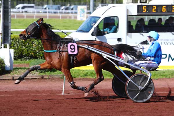Photo d'arrivée de la course pmu PX DES 15 ANS DE L'HIPPODROME - PRIX DE BORDEAUX à LYON LA SOIE le Mercredi 10 avril 2024