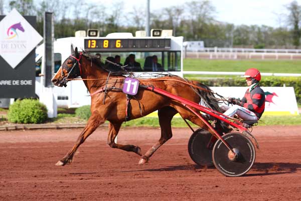Photo d'arrivée de la course pmu PRIX DE CABOURG à LYON LA SOIE le Mercredi 10 avril 2024