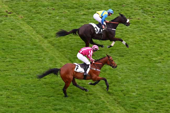 Photo d'arrivée de la course pmu PRIX ALEC CARTER à AUTEUIL le Jeudi 11 avril 2024