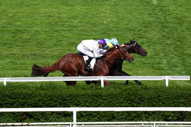 Photo d'arrivée de la course pmu PRIX MAGISTER à SAINT CLOUD le Vendredi 12 avril 2024
