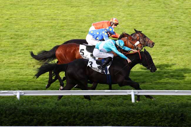 Photo d'arrivée de la course pmu PRIX DU TRIANGLE DE ROCQUENCOURT à SAINT CLOUD le Vendredi 12 avril 2024