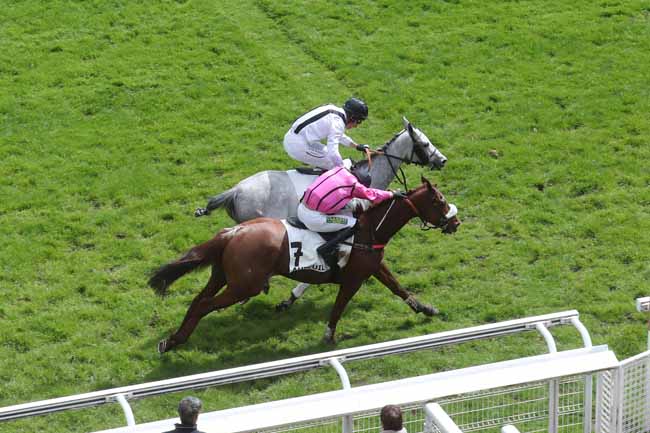 Photo d'arrivée de la course pmu PRIX DE PAU à AUTEUIL le Mardi 16 avril 2024
