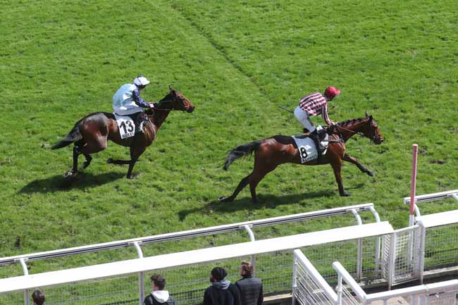 Photo d'arrivée de la course pmu PRIX WILD MONARCH - POULAINS à AUTEUIL le Mardi 16 avril 2024