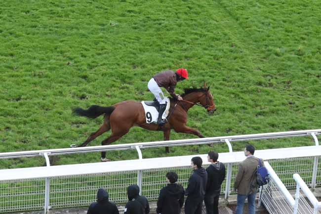 Photo d'arrivée de la course pmu PRIX ARTHUR VEIL-PICARD à AUTEUIL le Mardi 16 avril 2024