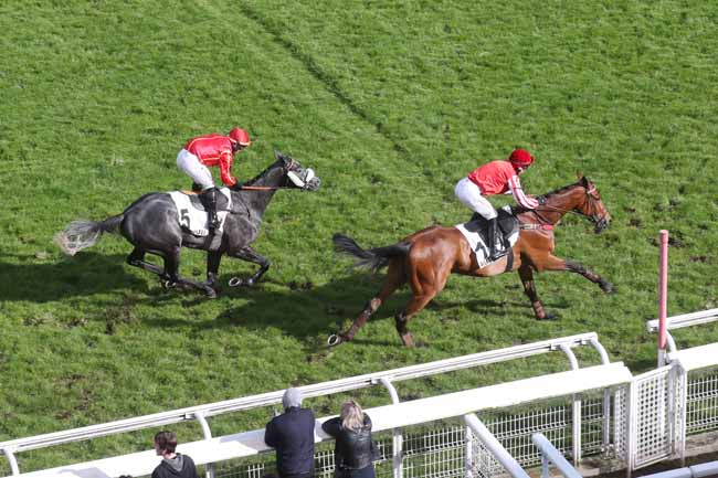 Photo d'arrivée de la course pmu PRIX ROMANTISME à AUTEUIL le Mardi 16 avril 2024