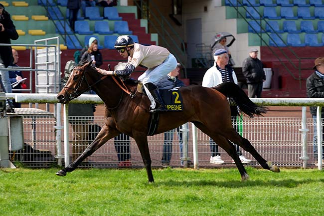 Photo d'arrivée de la course pmu PRIX DE L'AMIENOIS (CHAMPIONNAT 