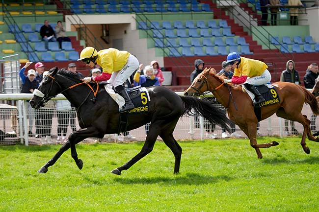 Photo d'arrivée de la course pmu PRIX SAINT-LEGER-AUX-BOIS à COMPIEGNE le Mardi 16 avril 2024