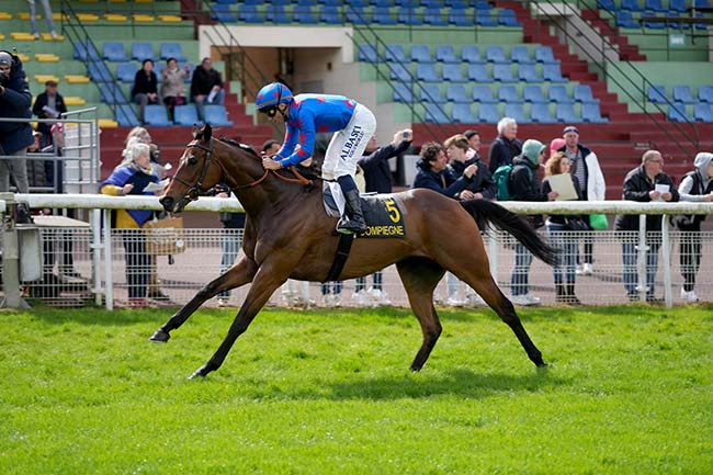 Photo d'arrivée de la course pmu PRIX DES FRONDAISONS à COMPIEGNE le Mardi 16 avril 2024
