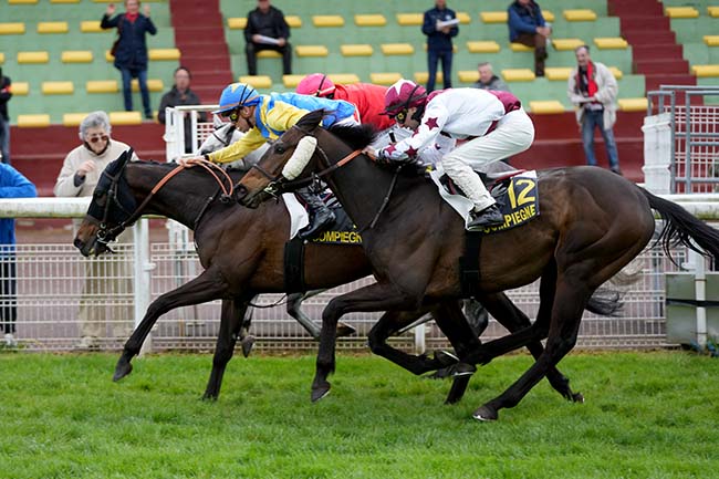 Photo d'arrivée de la course pmu PRIX DES BEAUX MONTS à COMPIEGNE le Mardi 16 avril 2024