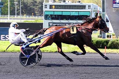 Photo d'arrivée de la course pmu PRIX DORIS à PARIS-VINCENNES le Mardi 16 avril 2024