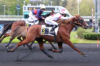 Photo d'arrivée de la course pmu PRIX STEPHANIA à PARIS-VINCENNES le Mardi 16 avril 2024