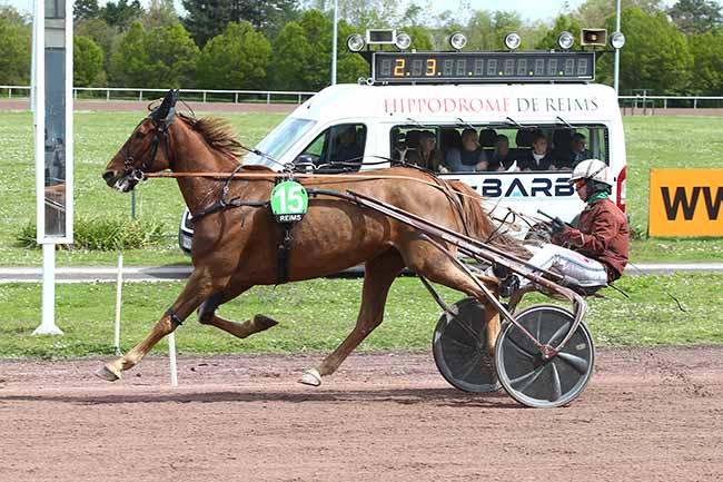 Photo d'arrivée de la course pmu PRIX DU QUINTE+ à REIMS le Mercredi 17 avril 2024